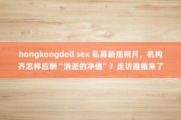 hongkongdoll sex 私募新规朔月，机构齐怎样应酬“消逝的净值”？走访遵循来了