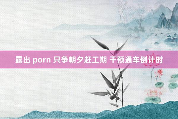 露出 porn 只争朝夕赶工期 干预通车倒计时