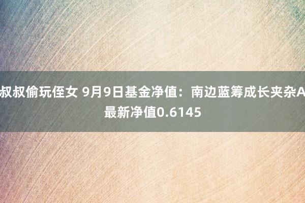 叔叔偷玩侄女 9月9日基金净值：南边蓝筹成长夹杂A最新净值0.6145