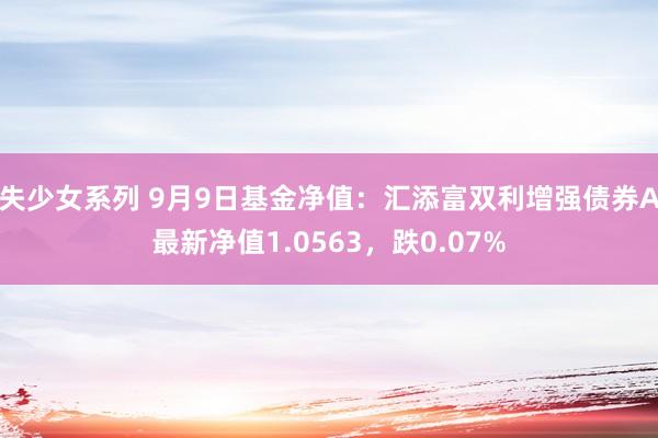 失少女系列 9月9日基金净值：汇添富双利增强债券A最新净值1.0563，跌0.07%