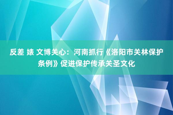 反差 婊 文博关心：河南抓行《洛阳市关林保护条例》促进保护传承关圣文化