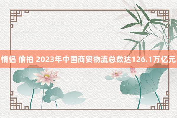 情侣 偷拍 2023年中国商贸物流总数达126.1万亿元