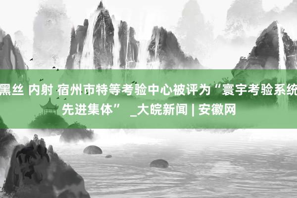 黑丝 内射 宿州市特等考验中心被评为“寰宇考验系统先进集体”  _大皖新闻 | 安徽网