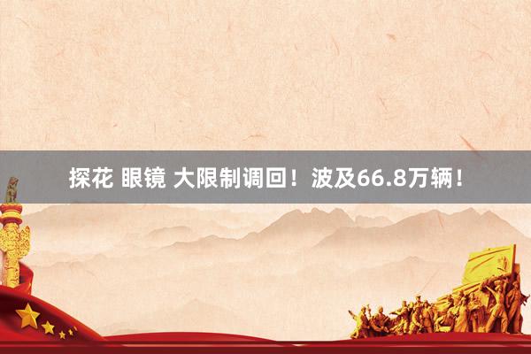 探花 眼镜 大限制调回！波及66.8万辆！