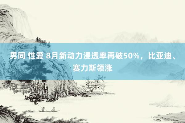 男同 性愛 8月新动力浸透率再破50%，比亚迪、赛力斯领涨