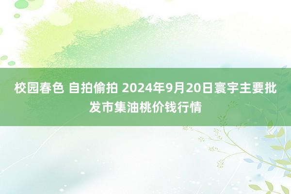 校园春色 自拍偷拍 2024年9月20日寰宇主要批发市集油桃价钱行情