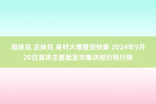 姐妹花 正妹兒 身材火爆雙倍快樂 2024年9月20日寰球主要批发市集沃柑价钱行情