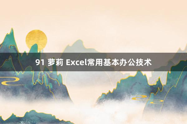 91 萝莉 Excel常用基本办公技术