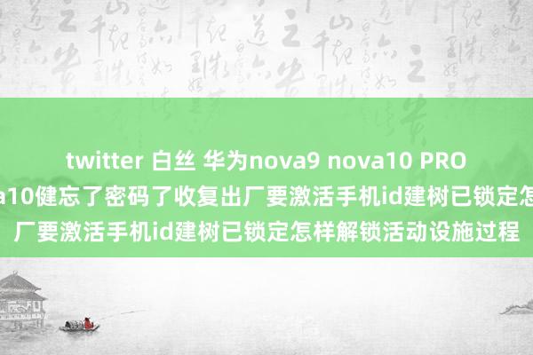 twitter 白丝 华为nova9 nova10 PRO/hi nova9 pro nova10健忘了密码了收复出厂要激活手机id建树已锁定怎样解锁活动设施过程