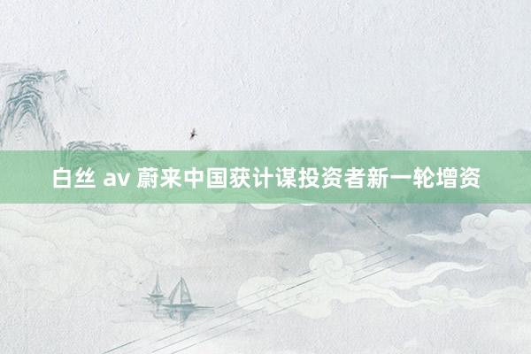 白丝 av 蔚来中国获计谋投资者新一轮增资