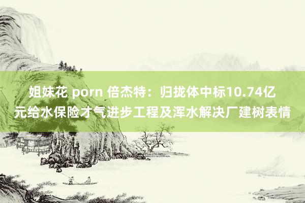 姐妹花 porn 倍杰特：归拢体中标10.74亿元给水保险才气进步工程及浑水解决厂建树表情