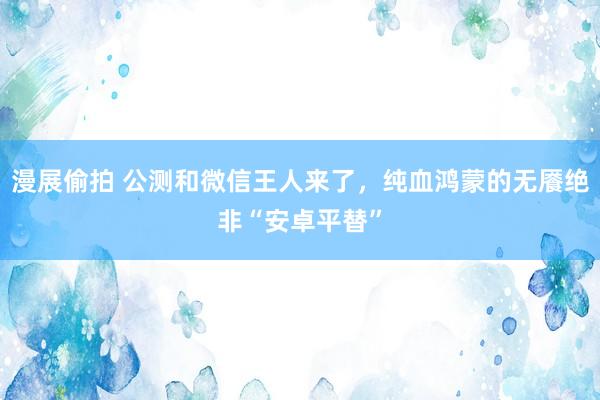 漫展偷拍 公测和微信王人来了，纯血鸿蒙的无餍绝非“安卓平替”