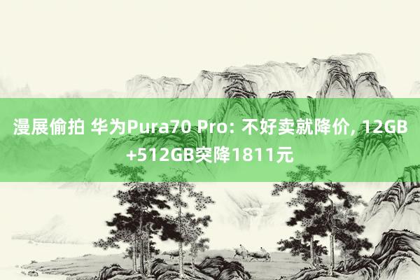 漫展偷拍 华为Pura70 Pro: 不好卖就降价， 12GB+512GB突降1811元