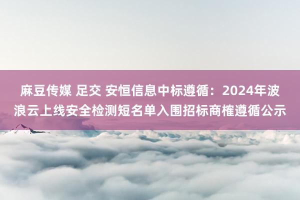 麻豆传媒 足交 安恒信息中标遵循：2024年波浪云上线安全检测短名单入围招标商榷遵循公示