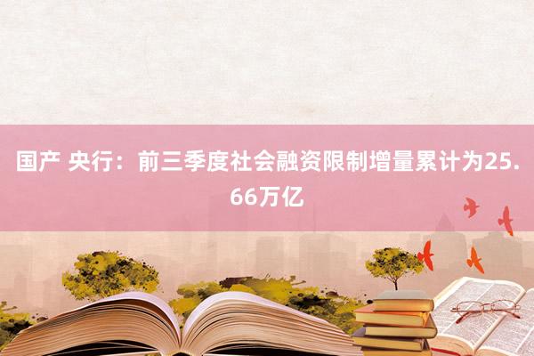 国产 央行：前三季度社会融资限制增量累计为25.66万亿