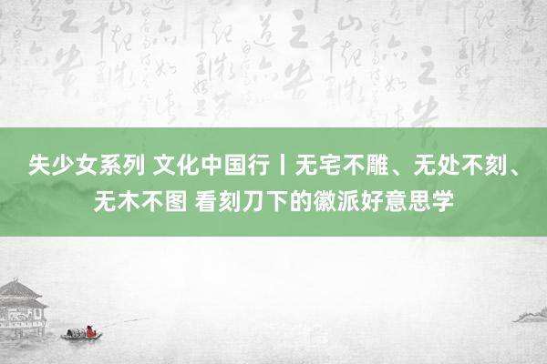 失少女系列 文化中国行丨无宅不雕、无处不刻、无木不图 看刻刀下的徽派好意思学