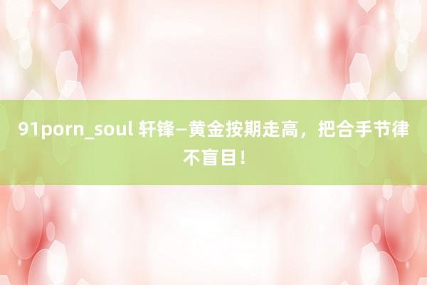 91porn_soul 轩锋—黄金按期走高，把合手节律不盲目！