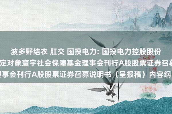 波多野结衣 肛交 国投电力: 国投电力控股股份有限公司2024年度向特定对象寰宇社会保障基金理事会刊行A股股票证券召募说明书（呈报稿）内容纲目