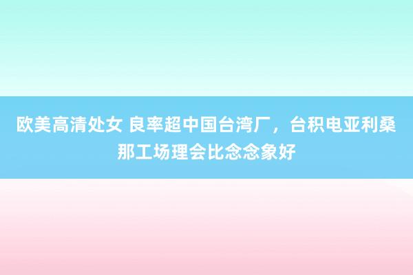 欧美高清处女 良率超中国台湾厂，台积电亚利桑那工场理会比念念象好