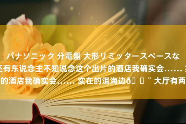 パナソニック 分電盤 大形リミッタースペースなし 露出・半埋込両用形 还有东说念主不知说念这个出片的酒店我确实会…… 实在的洱海边🏨 大厅有两个巨...