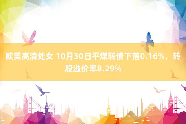 欧美高清处女 10月30日平煤转债下落0.16%，转股溢价率8.29%