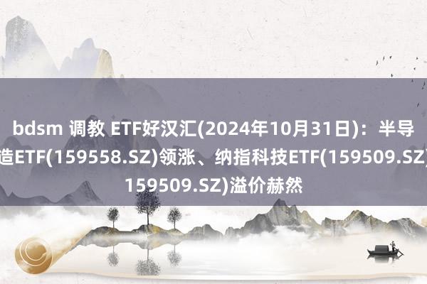 bdsm 调教 ETF好汉汇(2024年10月31日)：半导体材料缔造ETF(159558.SZ)领涨、纳指科技ETF(159509.SZ)溢价赫然