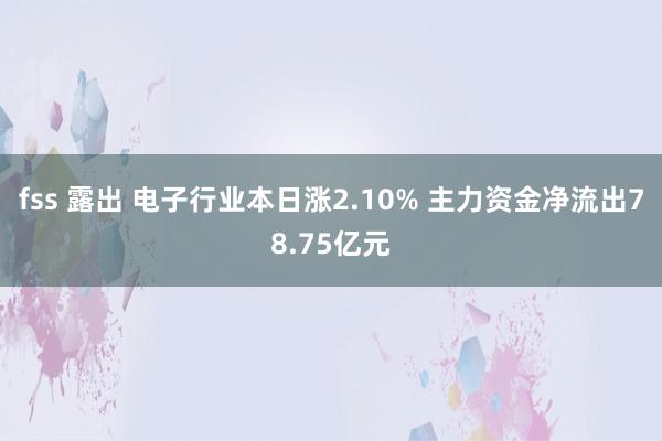 fss 露出 电子行业本日涨2.10% 主力资金净流出78.75亿元