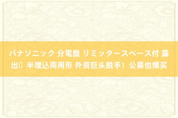 パナソニック 分電盤 リミッタースペース付 露出・半埋込両用形 外资巨头脱手！公募也爆买