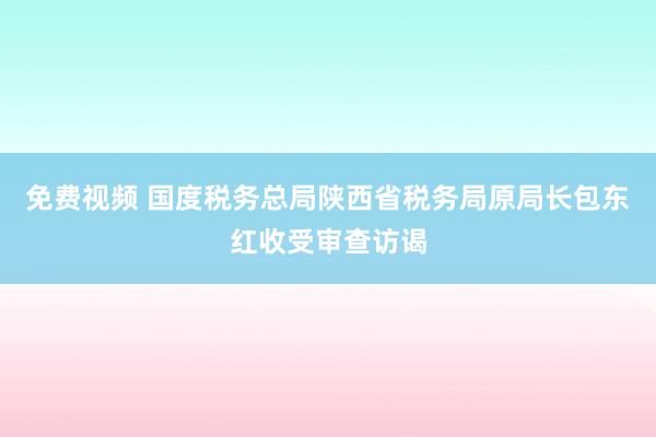 免费视频 国度税务总局陕西省税务局原局长包东红收受审查访谒