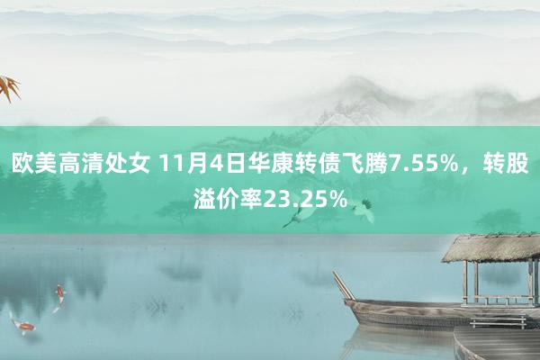 欧美高清处女 11月4日华康转债飞腾7.55%，转股溢价率23.25%