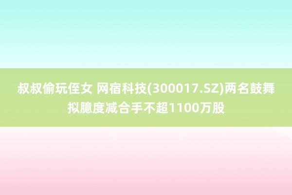 叔叔偷玩侄女 网宿科技(300017.SZ)两名鼓舞拟臆度减合手不超1100万股