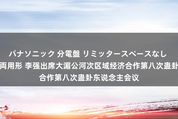 パナソニック 分電盤 リミッタースペースなし 露出・半埋込両用形 李强出席大湄公河次区域经济合作第八次蛊卦东说念主会议