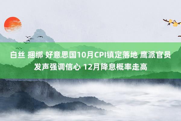 白丝 捆绑 好意思国10月CPI镇定落地 鹰派官员发声强调信心 12月降息概率走高