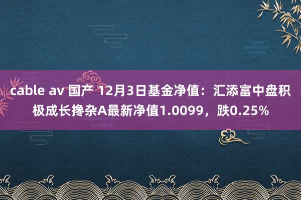 cable av 国产 12月3日基金净值：汇添富中盘积极成长搀杂A最新净值1.0099，跌0.25%