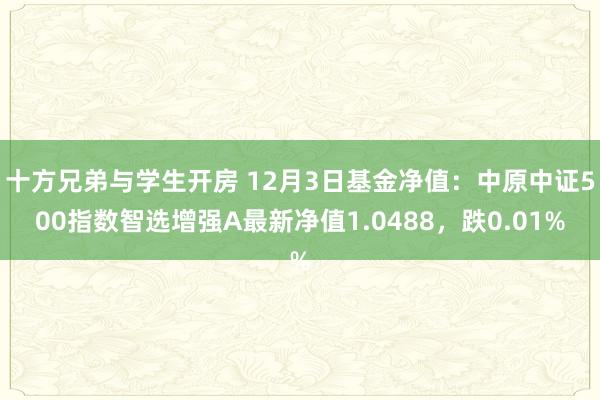 十方兄弟与学生开房 12月3日基金净值：中原中证500指数智选增强A最新净值1.0488，跌0.01%