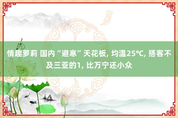 情趣萝莉 国内“避寒”天花板， 均温25℃， 搭客不及三亚的1， 比万宁还小众