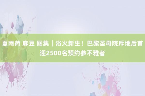 夏雨荷 麻豆 图集｜浴火新生！巴黎圣母院斥地后首迎2500名预约参不雅者