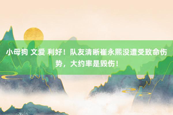 小母狗 文爱 利好！队友清晰崔永熙没遭受致命伤势，大约率是毁伤！