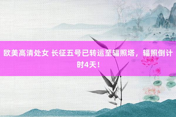 欧美高清处女 长征五号已转运至辐照塔，辐照倒计时4天！