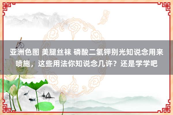 亚洲色图 美腿丝袜 磷酸二氢钾别光知说念用来喷施，这些用法你知说念几许？还是学学吧