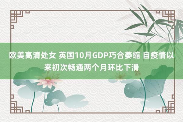 欧美高清处女 英国10月GDP巧合萎缩 自疫情以来初次畅通两个月环比下滑