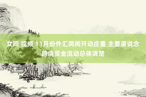 女同 视频 11月份外汇阛阓开动庄重 主要渠说念跨境资金流动总体清楚