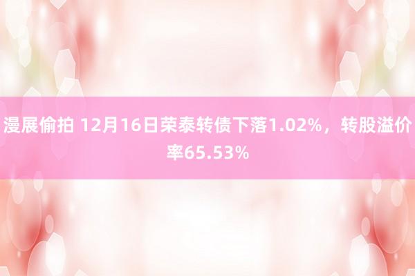 漫展偷拍 12月16日荣泰转债下落1.02%，转股溢价率65.53%