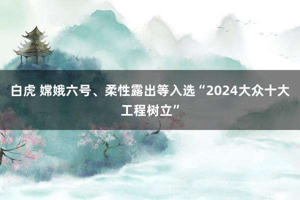 白虎 嫦娥六号、柔性露出等入选“2024大众十大工程树立”