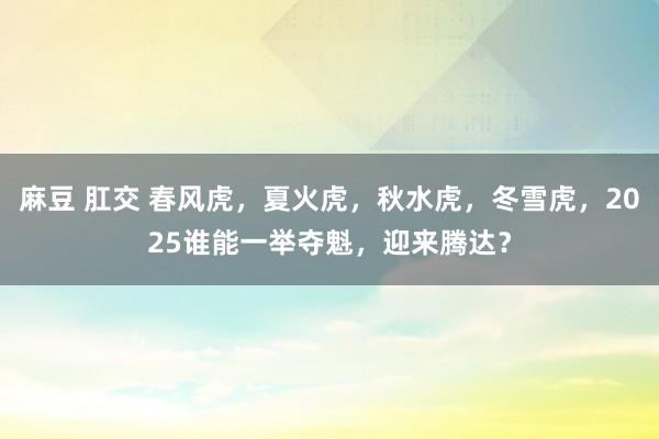 麻豆 肛交 春风虎，夏火虎，秋水虎，冬雪虎，2025谁能一举夺魁，迎来腾达？