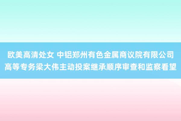 欧美高清处女 中铝郑州有色金属商议院有限公司高等专务梁大伟主动投案继承顺序审查和监察看望