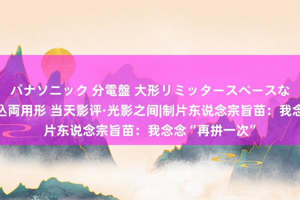 パナソニック 分電盤 大形リミッタースペースなし 露出・半埋込両用形 当天影评·光影之间|制片东说念宗旨苗：我念念“再拼一次”