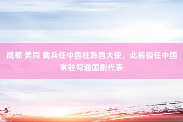 成都 男同 戴兵任中国驻韩国大使，此前担任中国常驻勾通国副代表