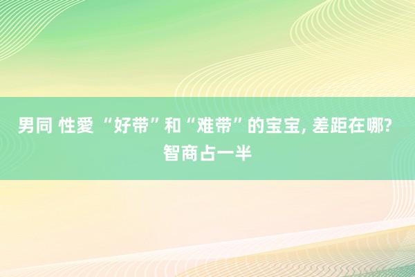 男同 性愛 “好带”和“难带”的宝宝， 差距在哪? 智商占一半