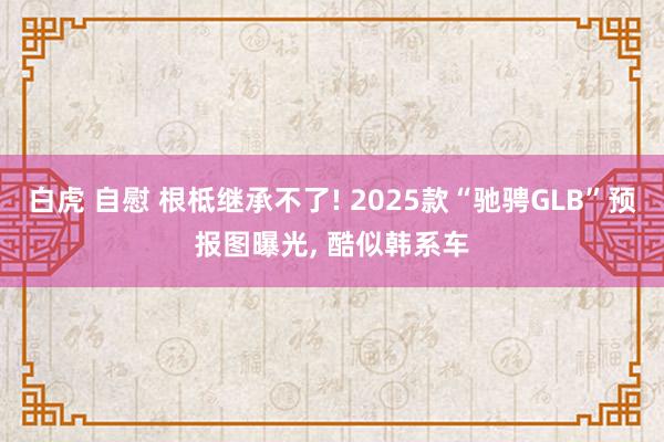 白虎 自慰 根柢继承不了! 2025款“驰骋GLB”预报图曝光， 酷似韩系车